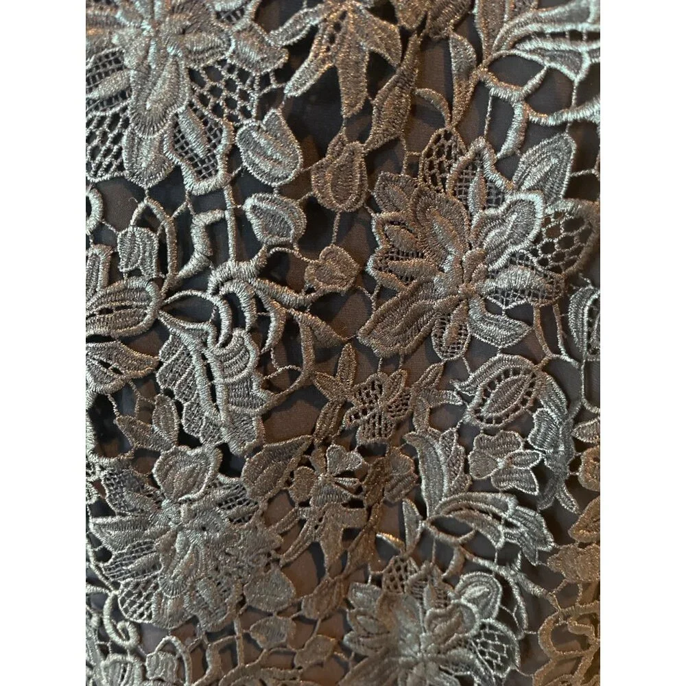 Black Lace Sleeveless A-Line Dress With Floral Overlay